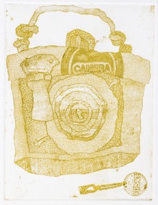 Camera Case From the official website of British artist, Jim Haldane MA RCA www.jimhaldane.com Copyright © Jim Haldane